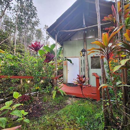 Cabin 2-Rustic Private Stay Near Volcano National Park Fern Forest Dış mekan fotoğraf
