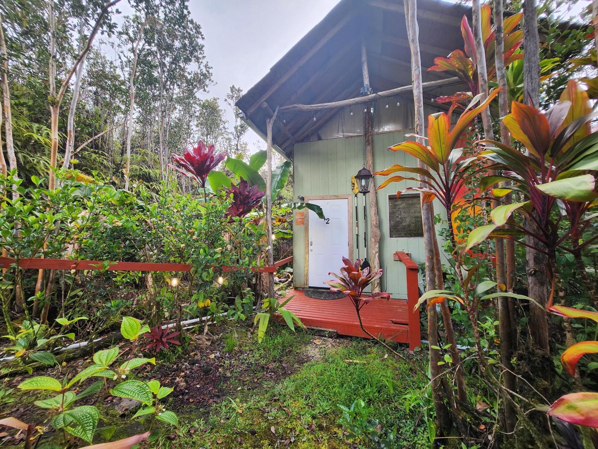 Cabin 2-Rustic Private Stay Near Volcano National Park Fern Forest Dış mekan fotoğraf